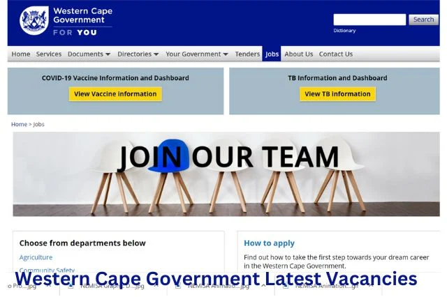 How to Apply for Western Cape Government Vacancies: A Complete Guide