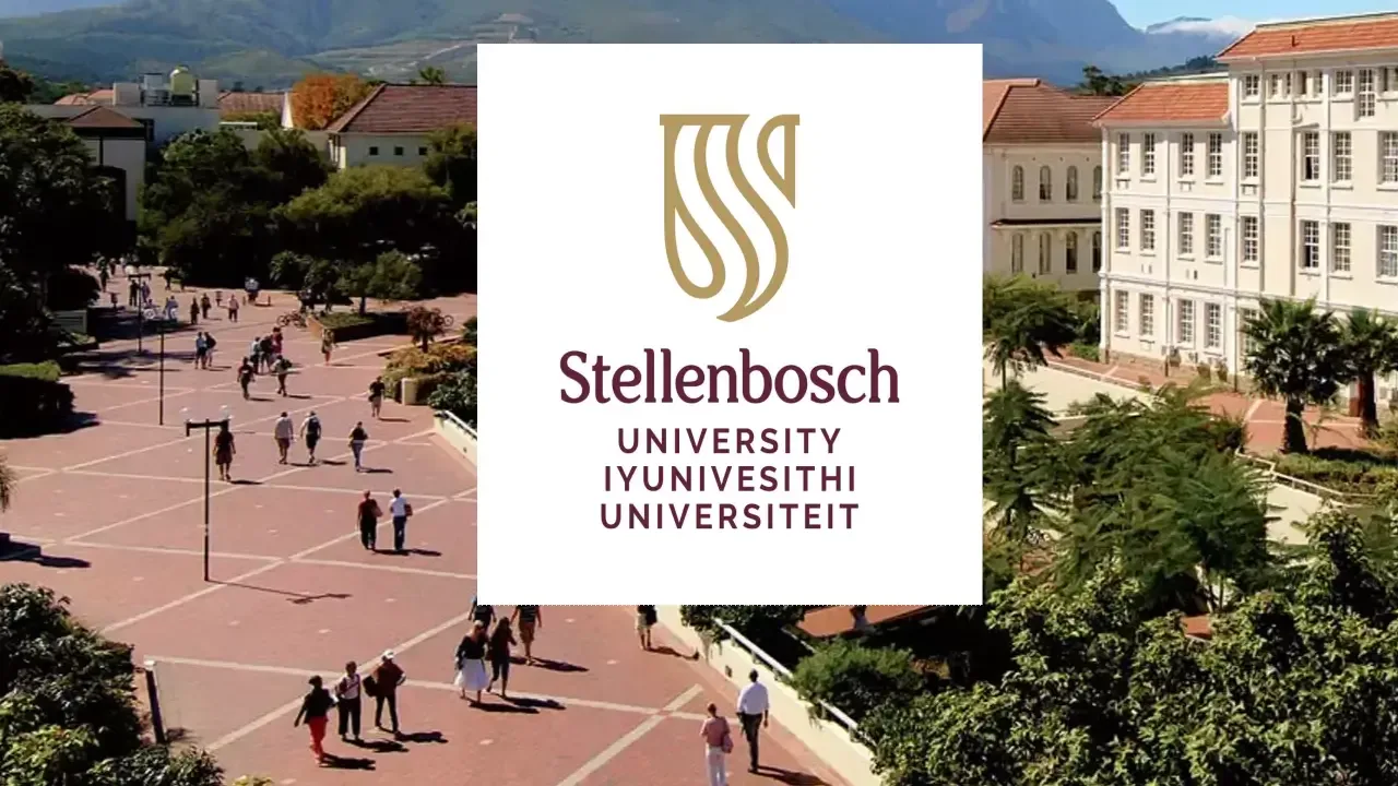 How to Check Your Stellenbosch University Application Status Online