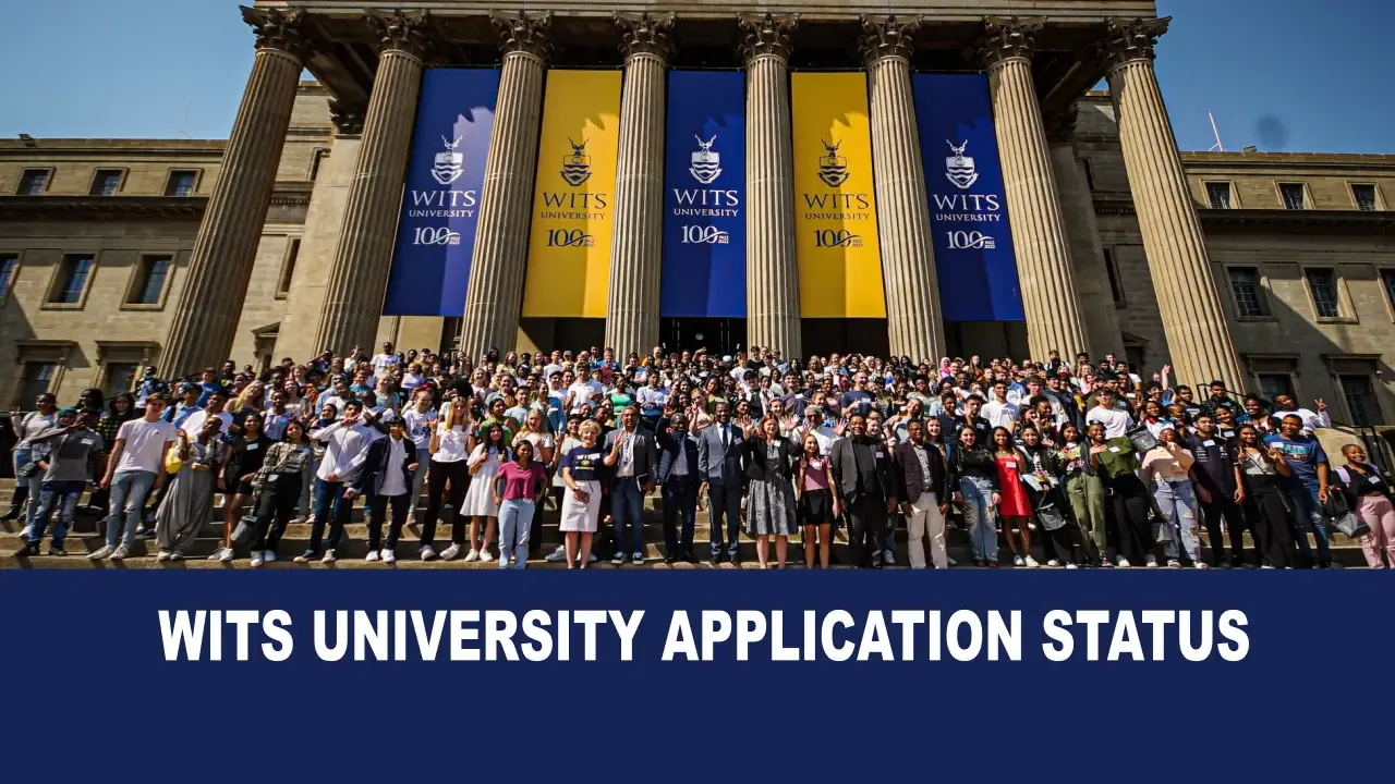 How to Check Your Wits Application Status Online
