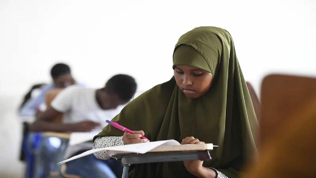 Matric Rewrite vs. Second Chance Matric Programme: Which Path is Right for You?