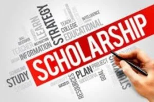 Allan Gray Start-Up Academy: Your Path to Artisan Entrepreneurship